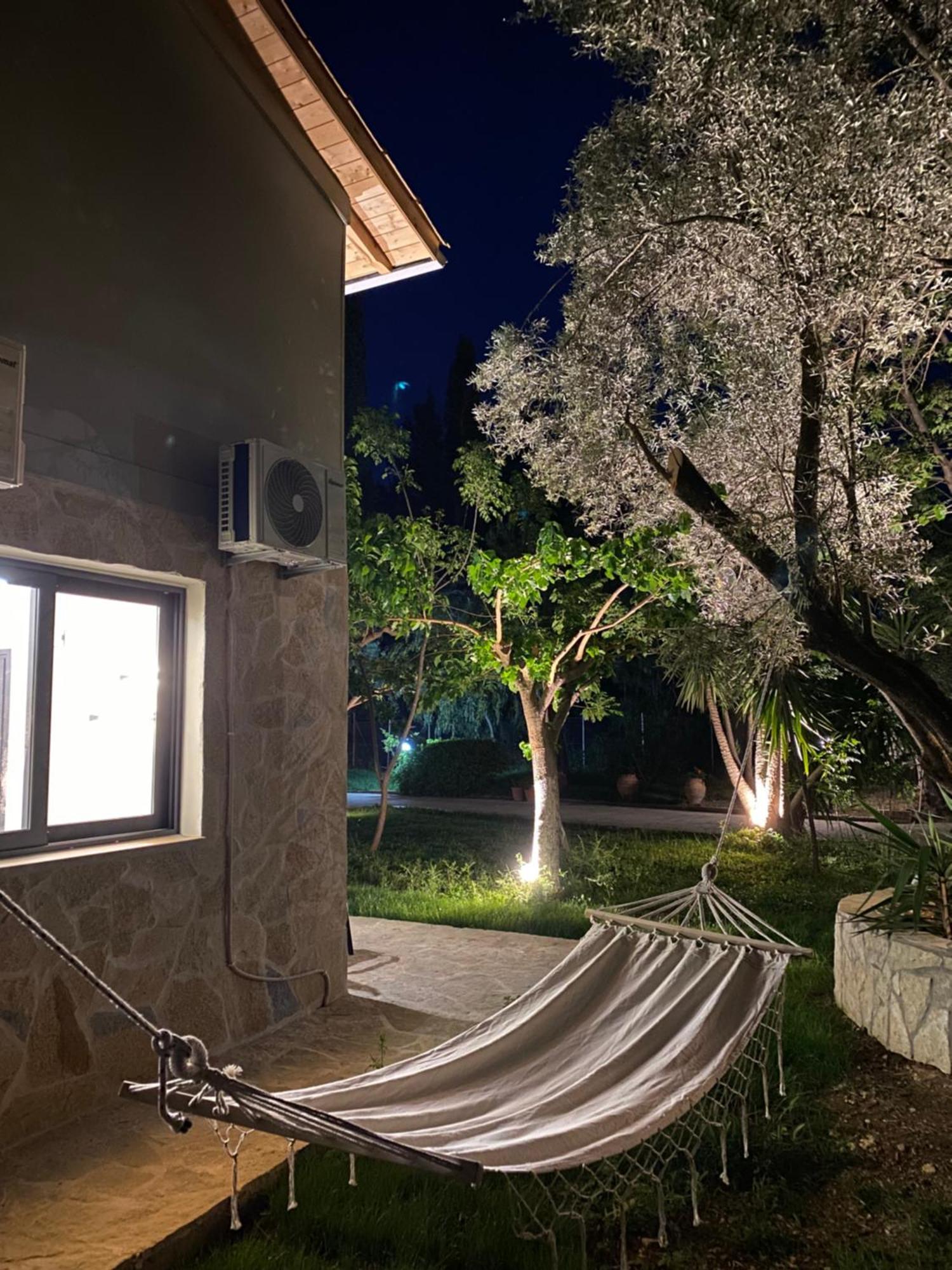 Olive Tree Apartments Lefkáda Oda fotoğraf
