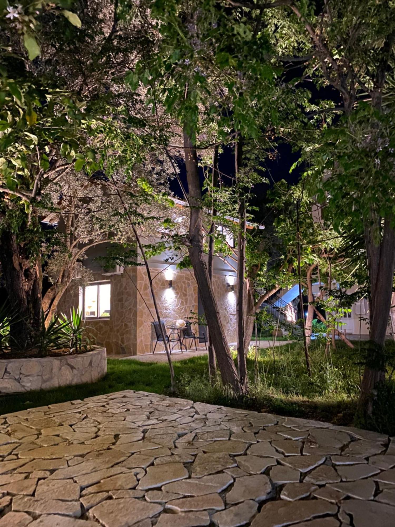Olive Tree Apartments Lefkáda Oda fotoğraf